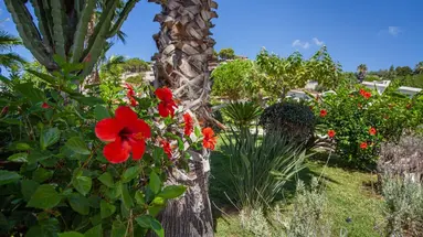 Villaggio Baia d Ercole