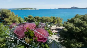 Villas Arausana & Antonina