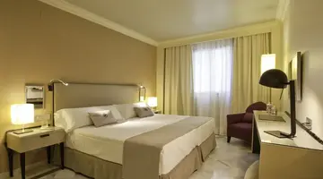 Vincci Albayzin
