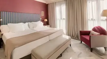Vincci Albayzin