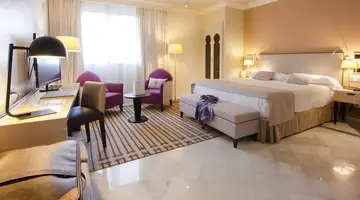 Vincci Albayzin
