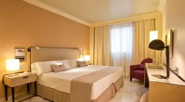 Vincci Albayzin