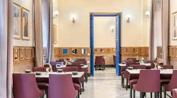 Vincci Molviedro