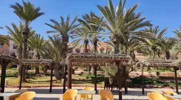 Vincci Safira Palms