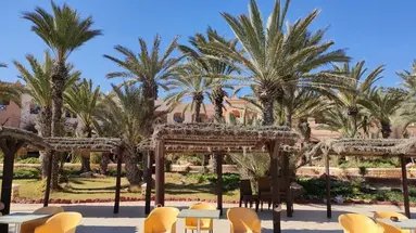 Vincci Safira Palms