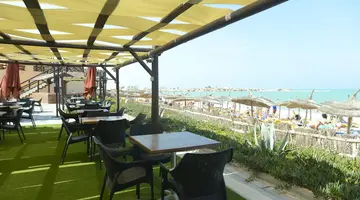 VINCCI SAFIRA PALMS