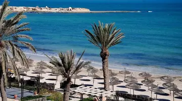 Vincci Safira Palms
