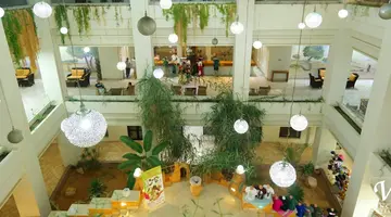 VINCCI SAFIRA PALMS