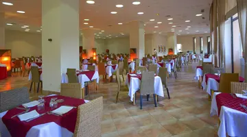 VINCCI SAFIRA PALMS
