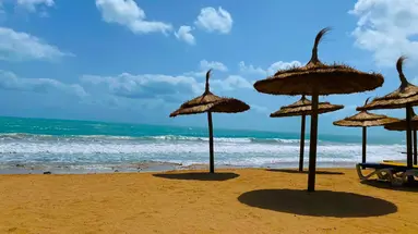 VINCCI SAFIRA PALMS