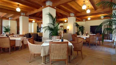 VINCCI SELECCION LA PLANTACION DEL SUR