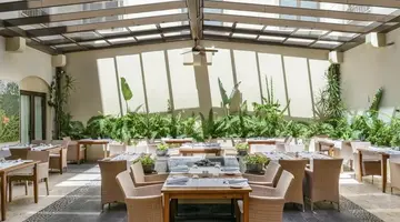 VINCCI SELECCION LA PLANTACION DEL SUR