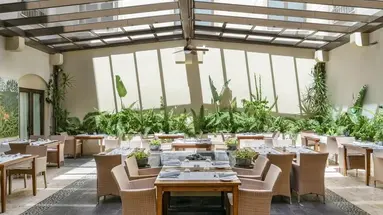 VINCCI SELECCION LA PLANTACION DEL SUR