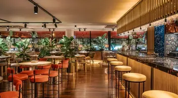 Vincci Soma