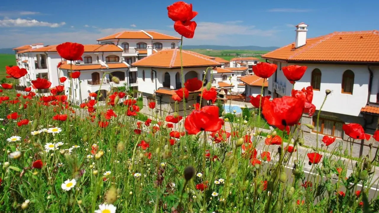Vineyards Resort