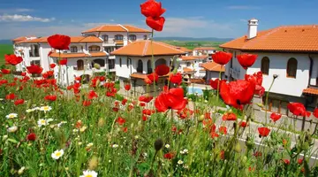 Vineyards Resort