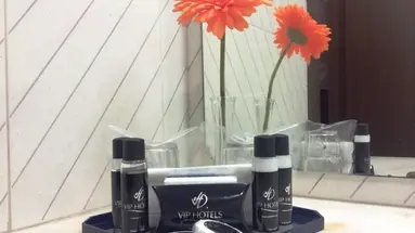 VIP Executive Zurique Hotel