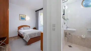 Vis