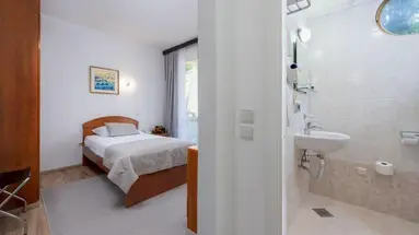 Vis