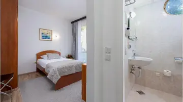 Vis