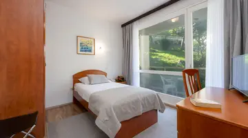 Vis