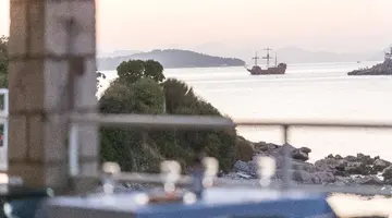 Vis