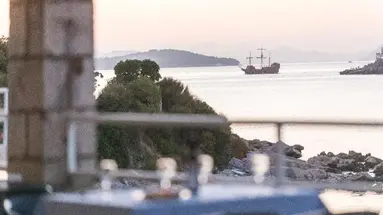 Vis