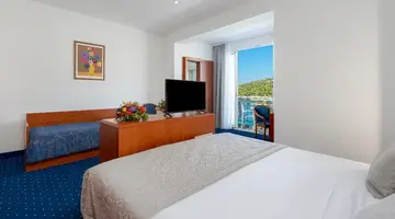 Vis