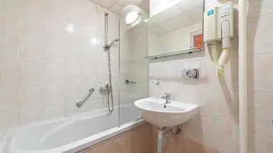 Vis