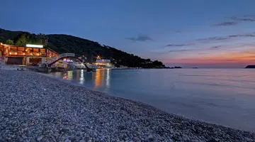 Vis