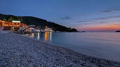 Vis
