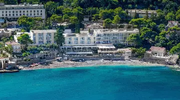 Vis