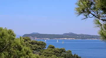 Vis