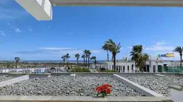 Vista Oasis