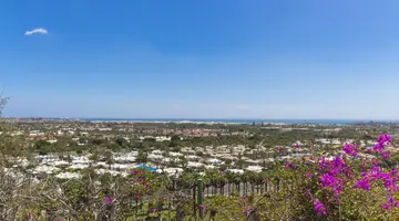 Vista Oasis