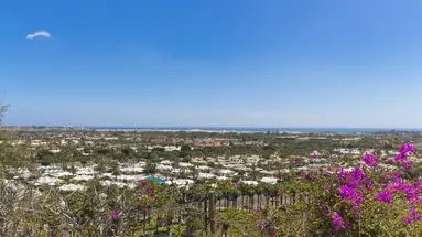 Vista Oasis