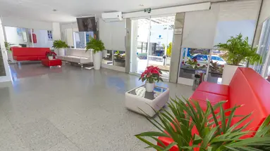 Vista Oasis