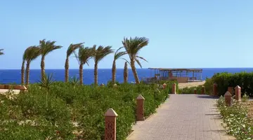Viva Blue Resort Soma Bay (Adults Only 12+)