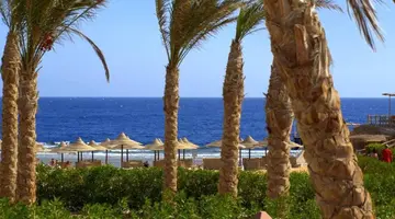Viva Blue Resort Soma Bay (Adults Only 12+)