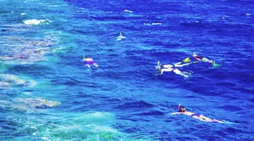 VIVA BLUE RESORT