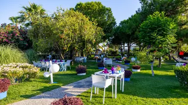 VONRESORT ELITE