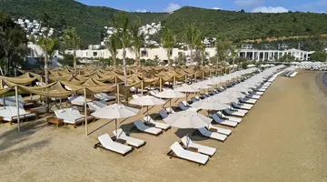 Voyage Torba