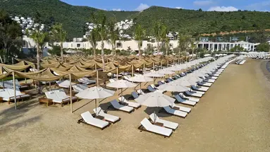 Voyage Torba