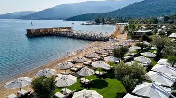 VOYAGE TORBA