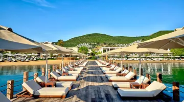 Voyage Torba