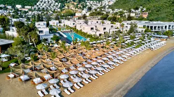 Voyage Torba