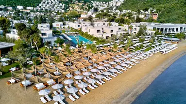 Voyage Torba