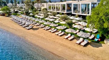 Voyage Torba