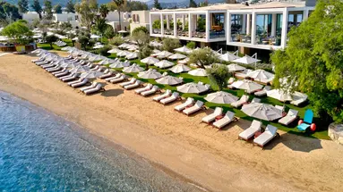 Voyage Torba