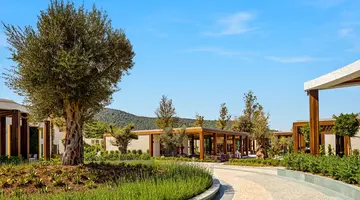 Voyage Torba